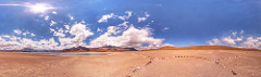 Laguna Miscanti