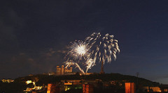 Feu d'artifice du 14 juillet à Lyon